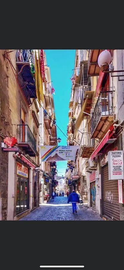나폴리 Mini-Flat Toledo 아파트